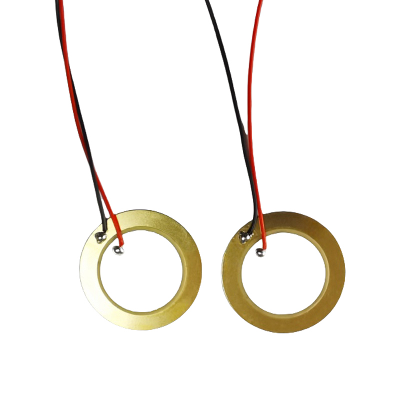 Piezoelektrický keramický plátokpiezoelektrický kruhový piezoelektrický plátkový prevodník Waferultrazvukový plátok