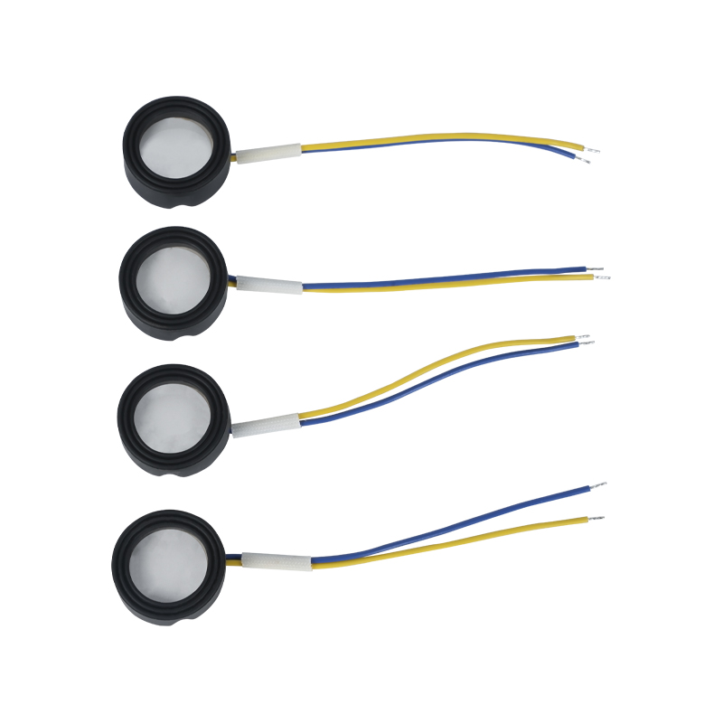 25 mm 1,7 MHz Ultrazvuková vysokofrekvenčná atomizácia Footbath Wigwam Cloud Mist Terénne úpravy Veľké množstvo atomizácie Piezoelektrický keramický prevodník Oscilačný atomizér Vysoký výkon 220v36w