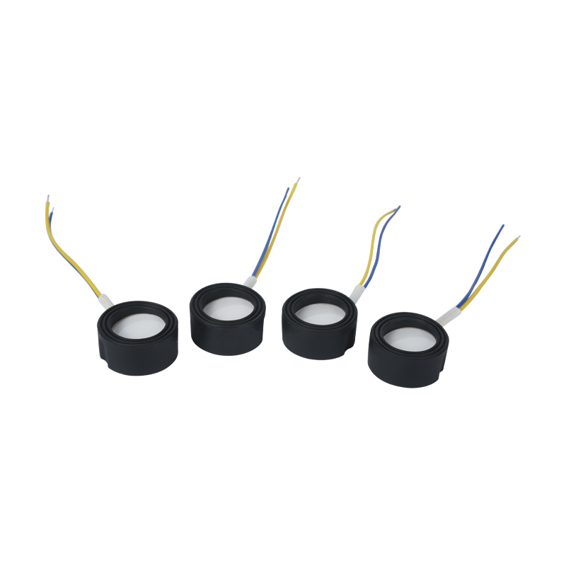 25 mm 1,7 MHz Ultrazvuková vysokofrekvenčná atomizácia Footbath Wigwam Cloud Mist Terénne úpravy Veľké množstvo atomizácie Piezoelektrický keramický prevodník Oscilačný atomizér Vysoký výkon 220v36w